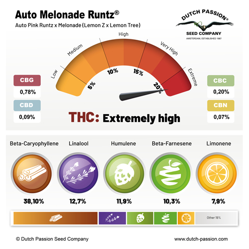 Terps terpenes Auto Melonade Runtz Farnesene